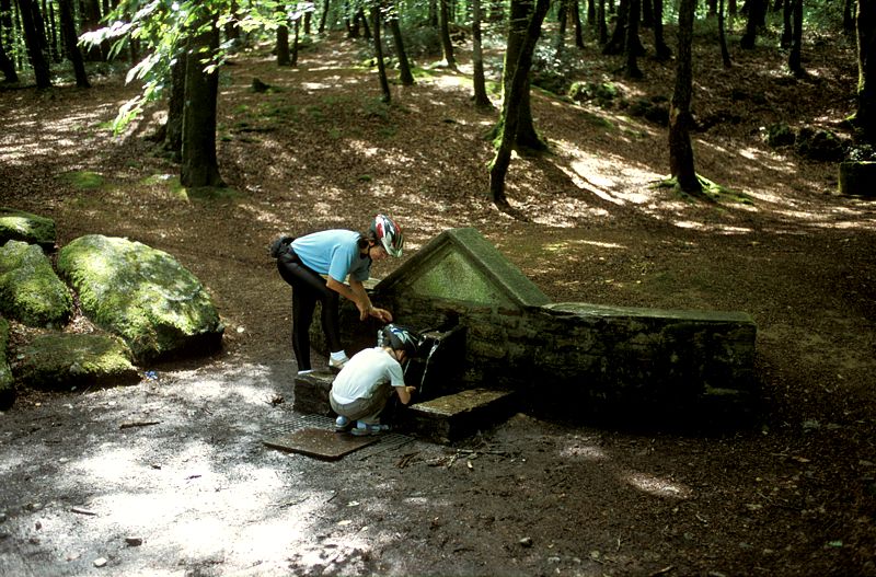 Quelle im Bois de Quinipily
Bretagne 2005
Keywords: Rad;Frankreich;2005