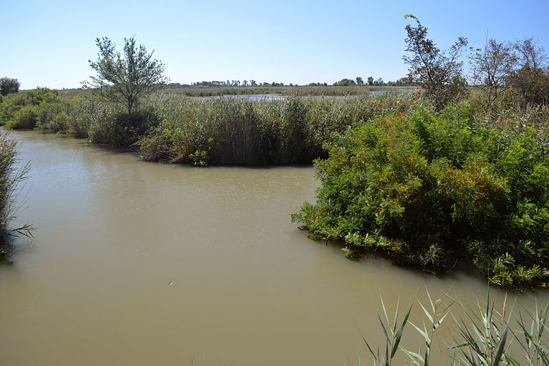 Camargue beim Étang de Vaccarès
Via Rhôna 2017
Keywords: Rad;2017;Frankreich