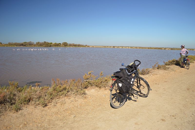 Radpiste in der Camargue mit Flamingos
Via Rhôna 2017
Keywords: Rad;2017;Frankreich