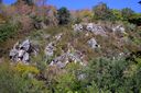 Filename=DSD_9667n.jpg
Filesize=168KiB
Dimensions=800x533
Date added=Mar 24, 2020 DSD_9667n.jpg