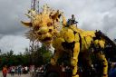 Filename=DSC_7368n.jpg
Filesize=93KiB
Dimensions=800x533
Date added=May 08, 2019 DSC_7368n.jpg