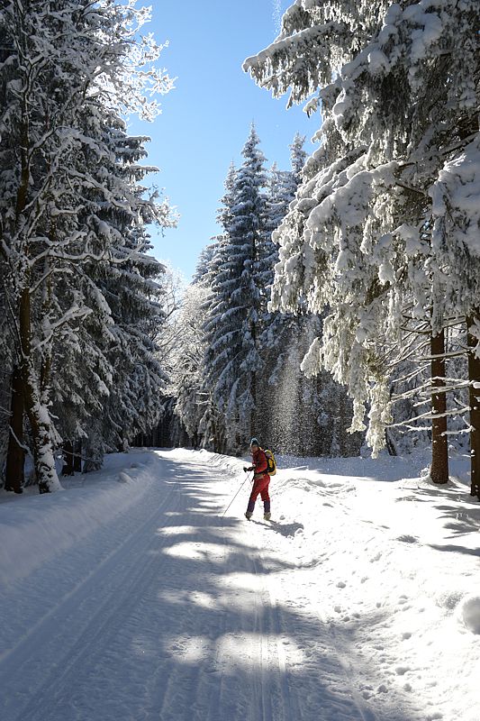 Skiurlaub 2021 Niederschlag
Keywords: 2021;Ski;Niederschlag