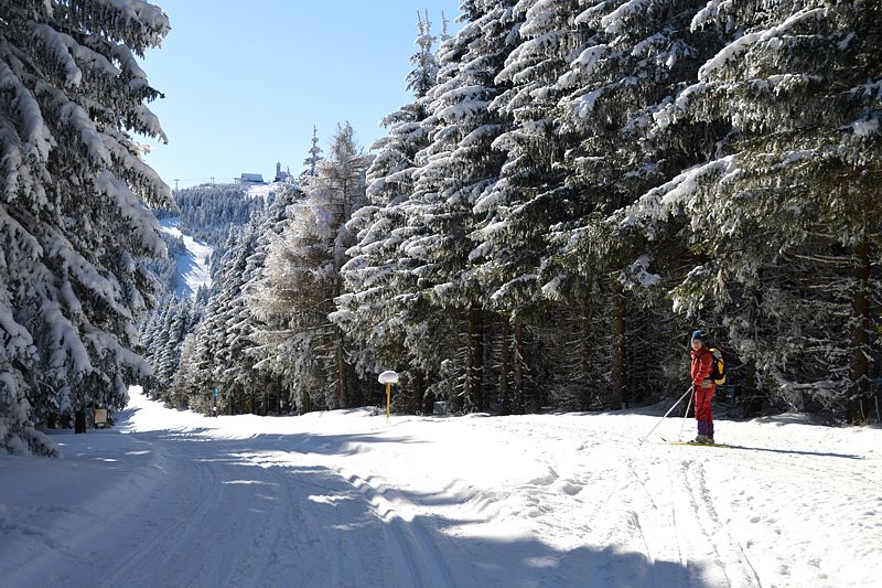 Skiurlaub 2021 Niederschlag
Keywords: 2021;Ski;Niederschlag